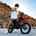 Off-Road Electric Bike