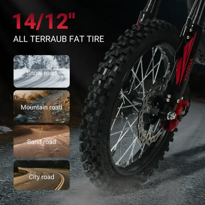 Off-Road Electric Bike