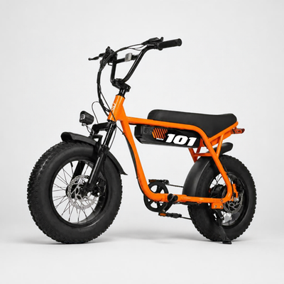 V101 Ebike