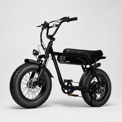 V101 Ebike