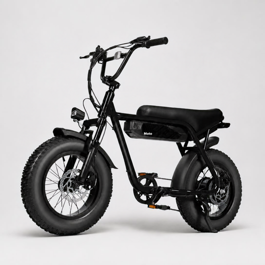 V101 Ebike