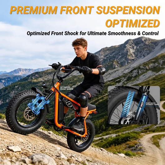 V101 Ebike
