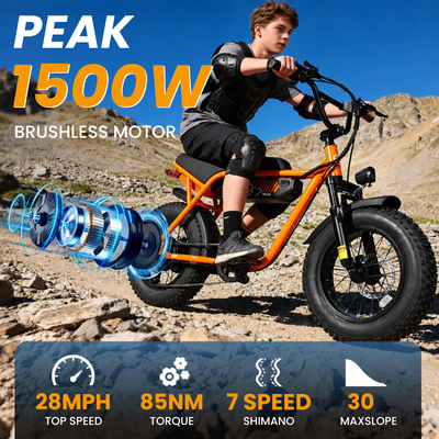 V101 Ebike
