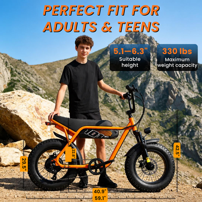 V101 Ebike