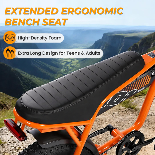 V101 Ebike