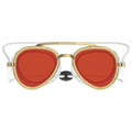 Sunglass Goggles